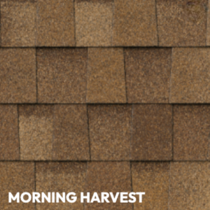 morning-harvest