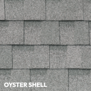 oyster-shell